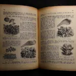 Hvilke fordele og ulemper er der ved at bruge en bogstøtte i forhold til andre metoder til at holde mine bøger åbne?